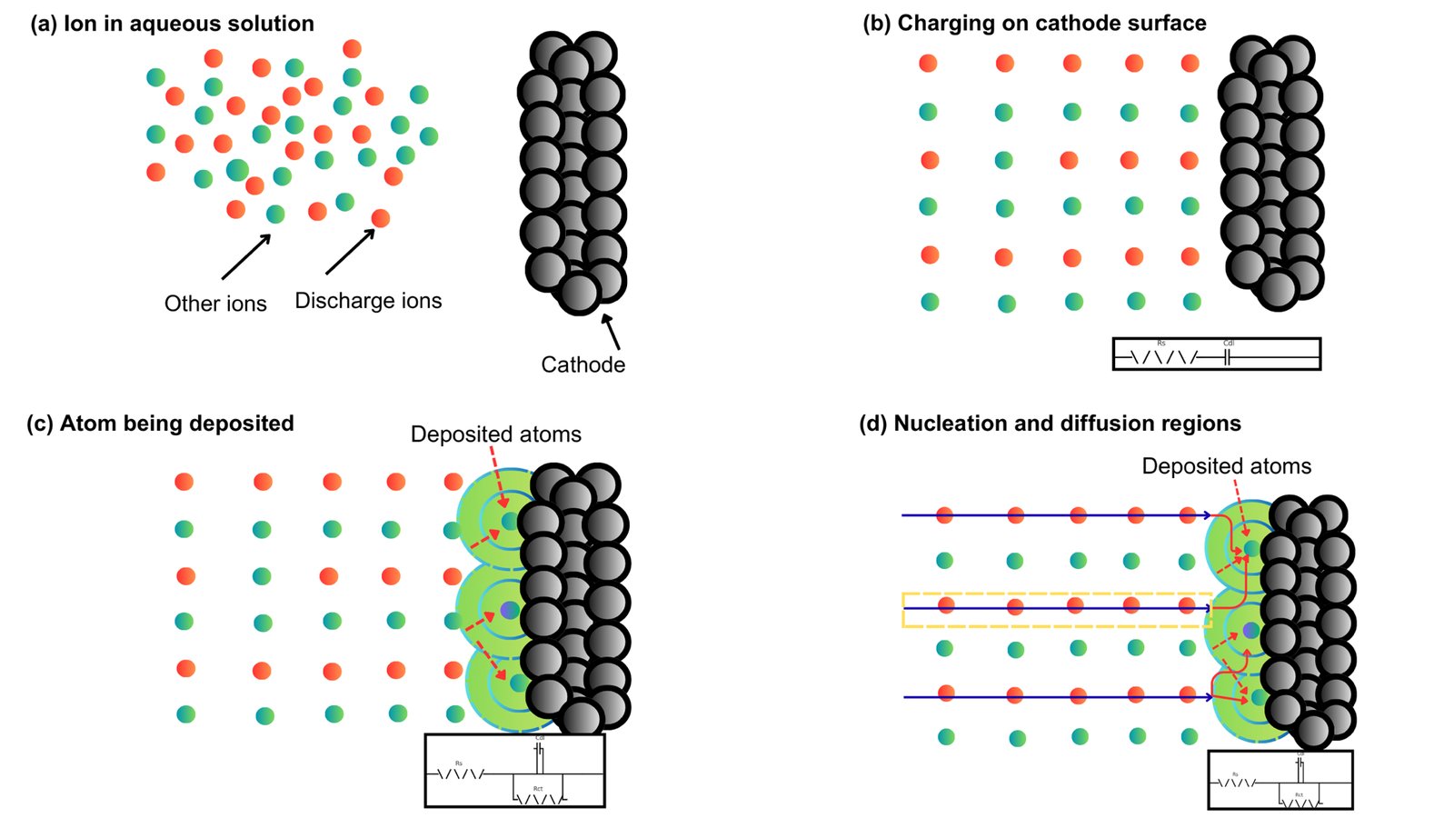 Chronopotentiograms during electrodeposition across the five Ni : Co compositions. Pure Ni(OH)₂ required the highest overpotential (~2.4 V) for nucleation onset; cobalt-rich films deposited at lower overpotentials.