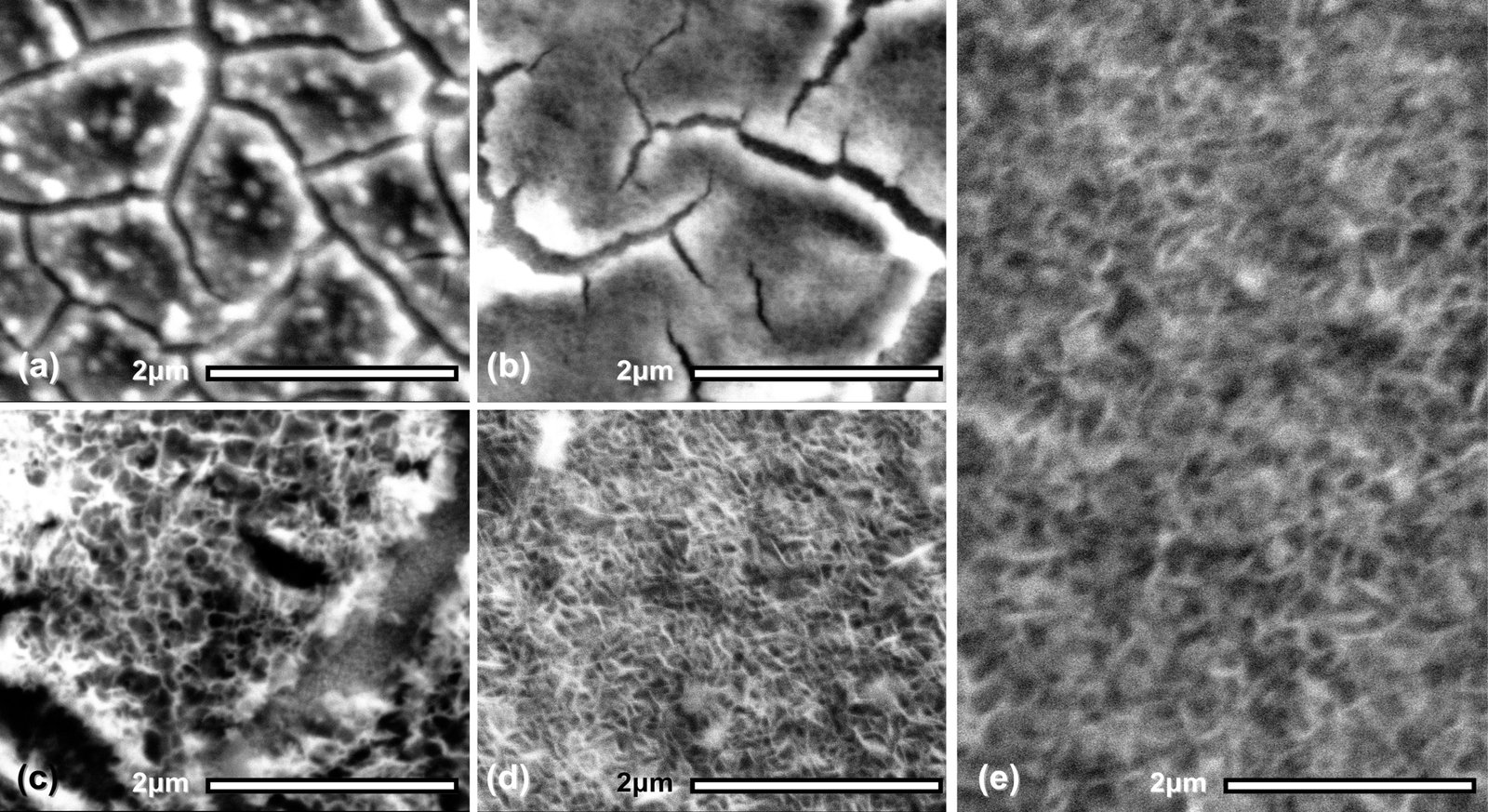 SEM images of electrodeposited (a) Ni(OH)₂, (b) Ni₀.₀₇₅Co₀.₀₂₅(OH)₂, (c) Ni₀.₀₅Co₀.₀₅(OH)₂, (d) Ni₀.₀₂₅Co₀.₀₇₅(OH)₂ films. Morphology transitions visibly from compact nanosheets to interlocking flakes.